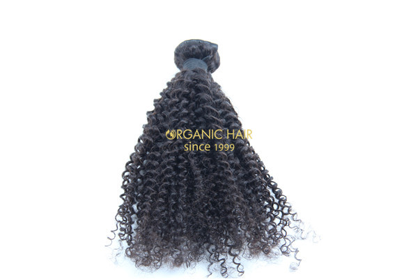 Virgin brazilian kinky curly hair extension